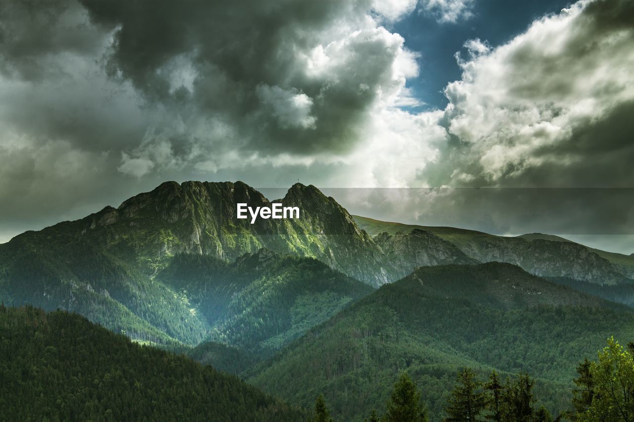 Scenic shot of lush foliage against clouds