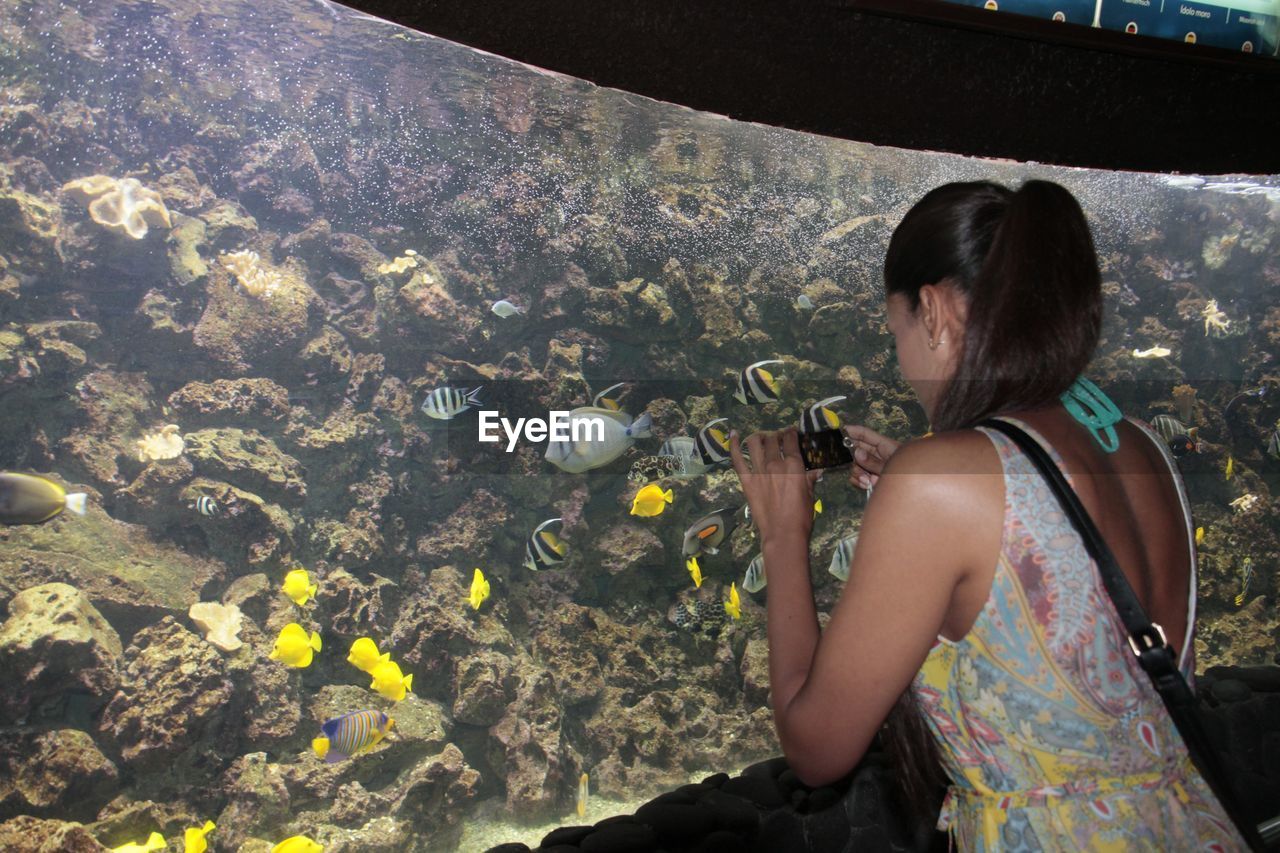 Woman photographing fishes in aquarium from mobile phone