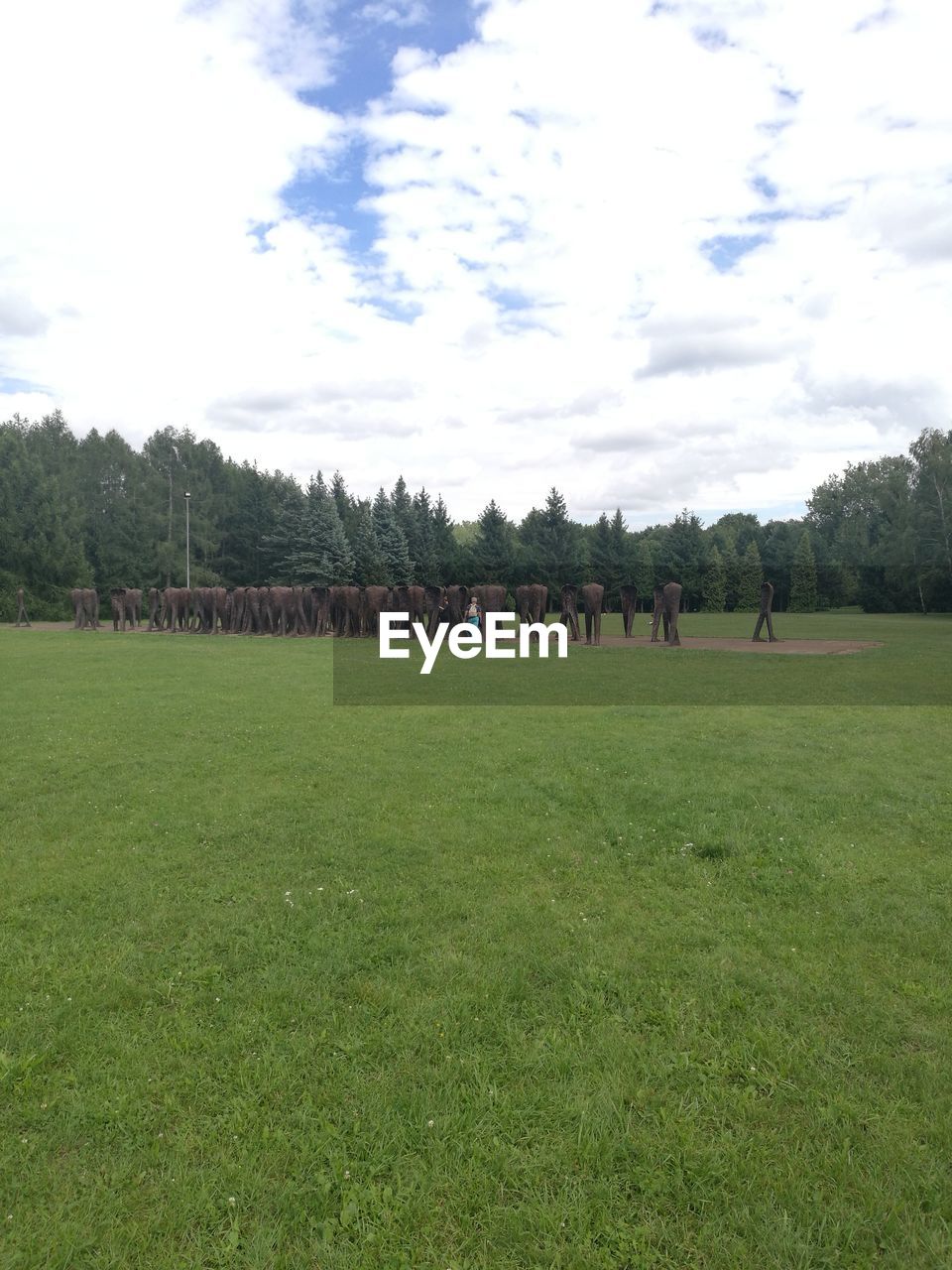 PEOPLE PLAYING SOCCER ON FIELD