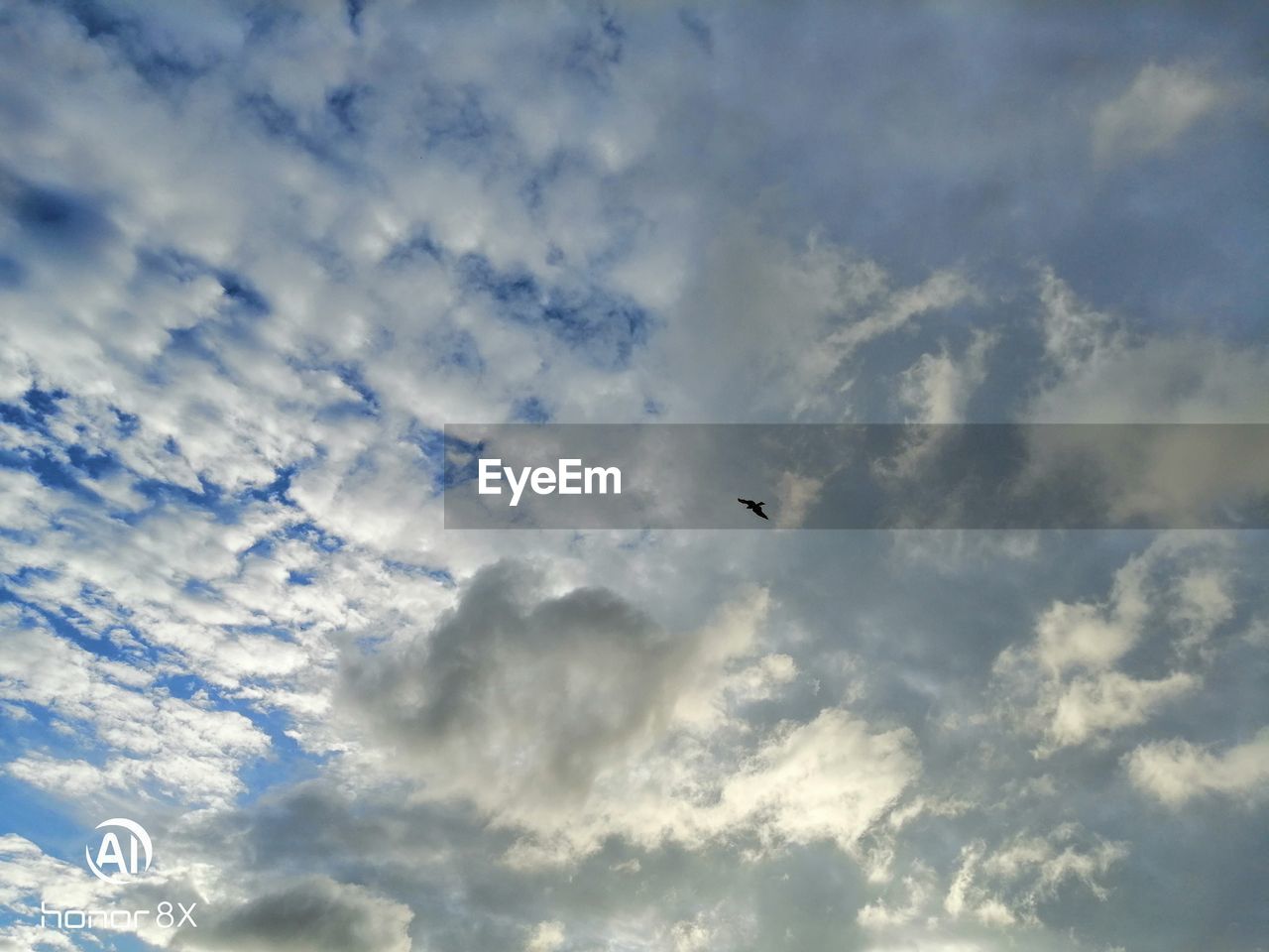 LOW ANGLE VIEW OF BIRDS FLYING AGAINST CLOUDS