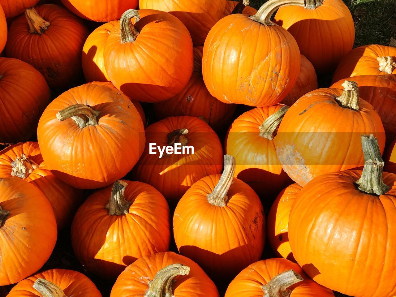 Full frame shot of pumpkins for sale at market stall