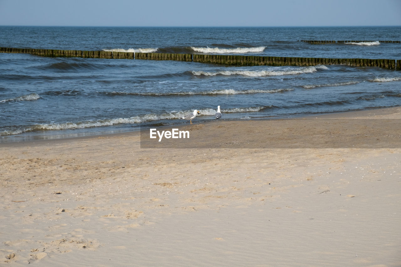 SCENIC VIEW OF BEACH