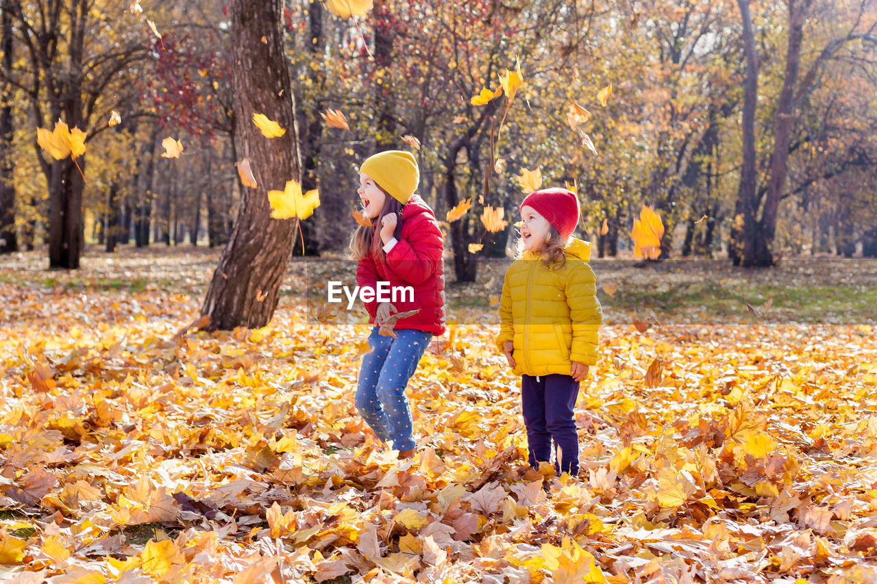 Cute kids standing by trees during autumn