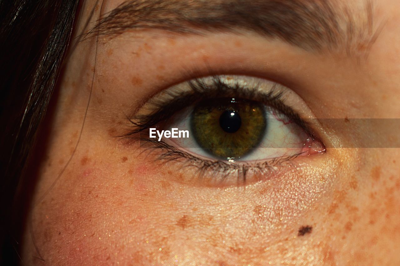 Cropped image of woman eye