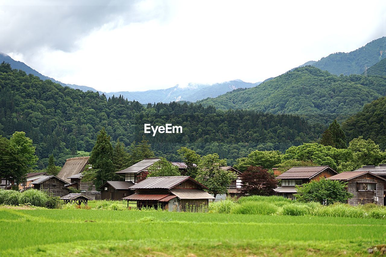 HOUSES AND TREES ON LANDSCAPE AGAINST SKY