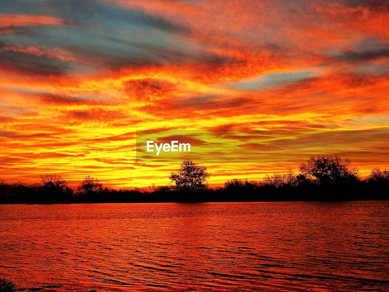 SILHOUETTE TREES ON LANDSCAPE AGAINST ORANGE SUNSET SKY