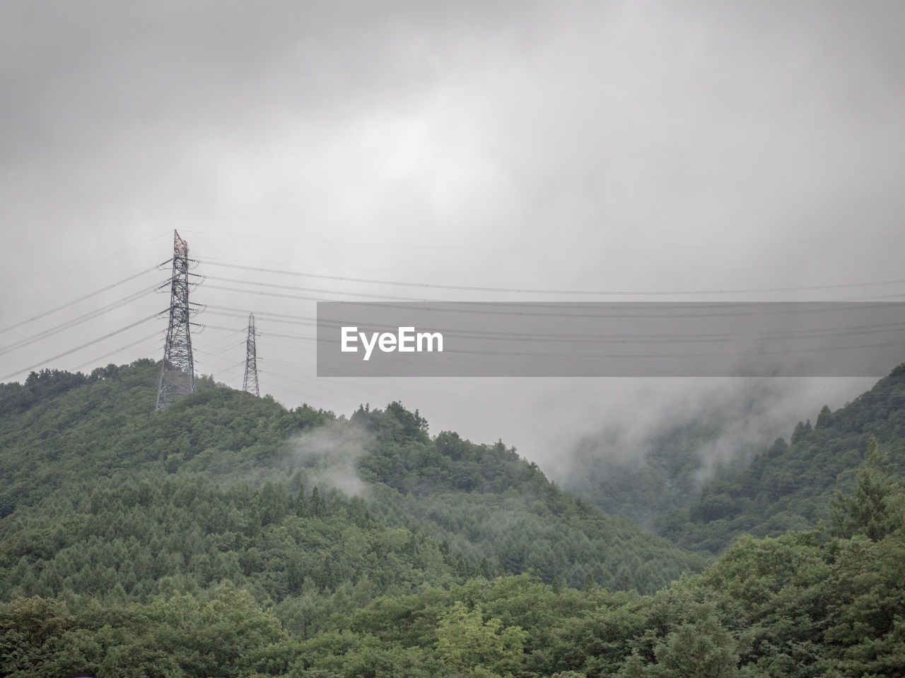 ELECTRICITY PYLON ON TREE AGAINST SKY