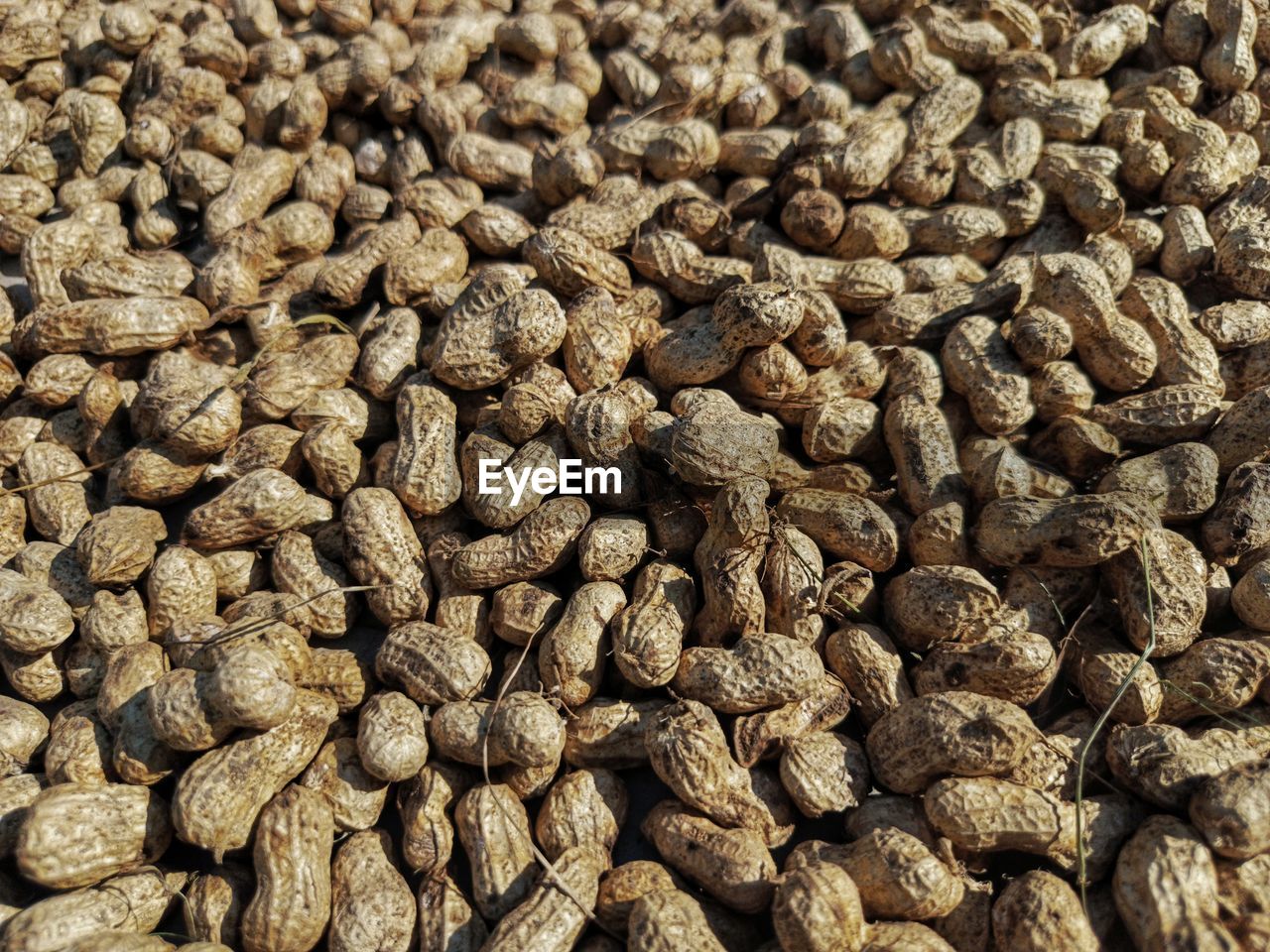 full frame, backgrounds, food, food and drink, large group of objects, abundance, no people, freshness, produce, still life, close-up, sunflower seed, brown, textured, healthy eating, wellbeing, high angle view, nature, day