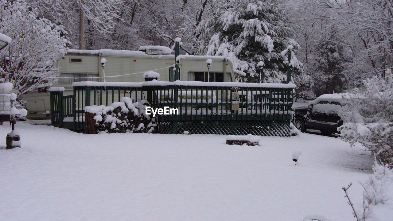 SNOW COVERED TREES AND BUILDINGS