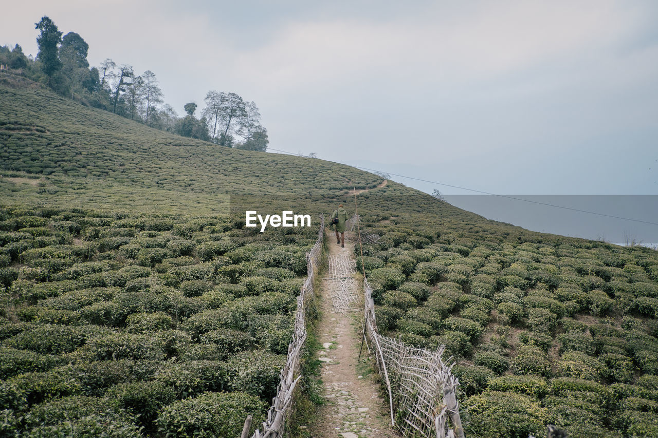 SCENIC VIEW OF MOUNTAIN AGAINST SKY