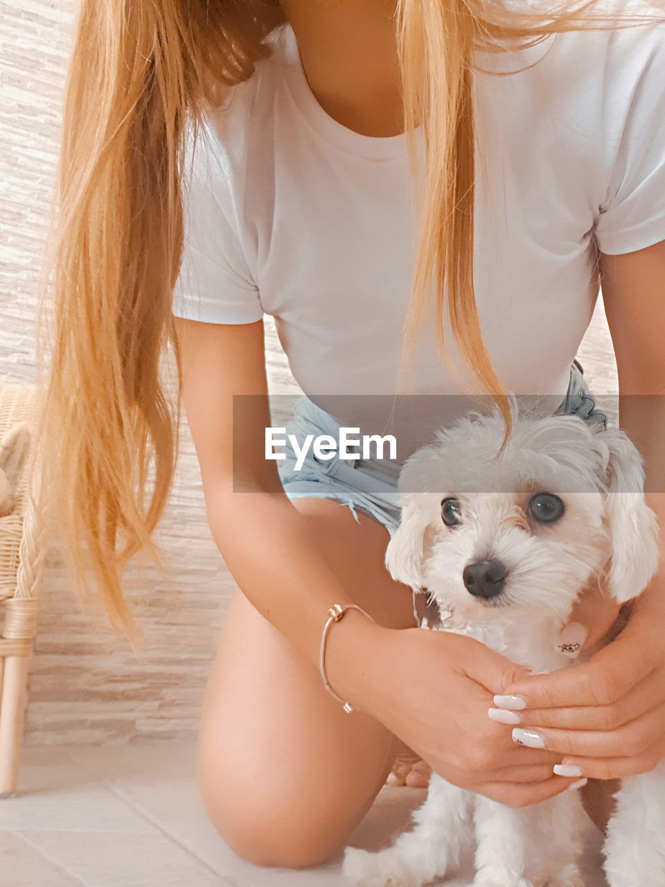 pet, domestic animals, mammal, dog, animal themes, animal, canine, one animal, women, adult, cute, lap dog, female, young adult, positive emotion, friendship, one person, love, blond hair, happiness, emotion, white, lifestyles, purebred dog, maltese, puppy, smiling, indoors, long hair, skin, care, young animal, body care, holding, carnivore, hairstyle, child, affectionate, photo shoot, portrait, cheerful