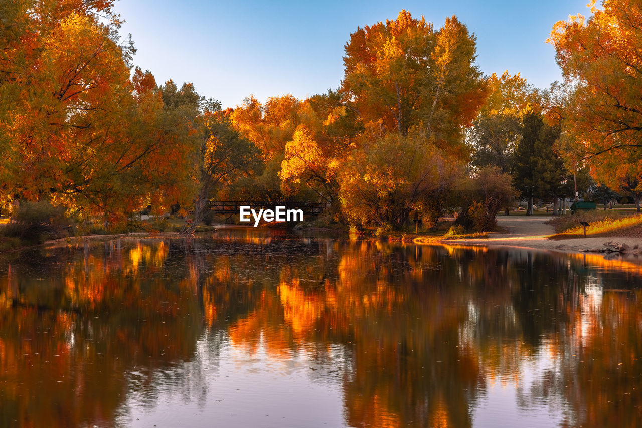 scenic view of lake by trees against sky during autumn