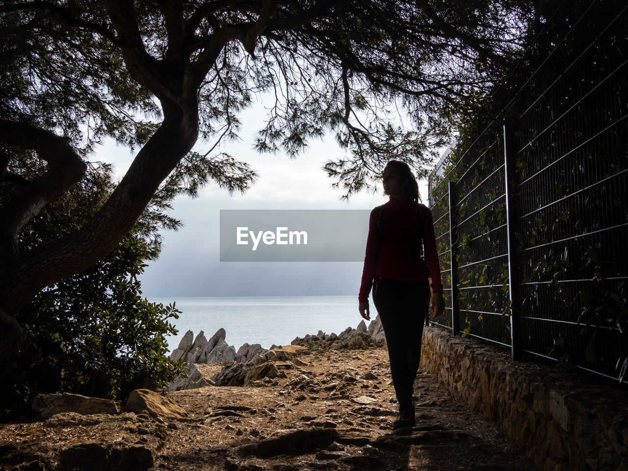 REAR VIEW OF MAN LOOKING AT VIEW OF TREE