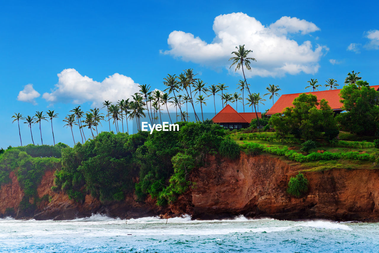 Tropical island, house cliff among palm trees. tropical life. sri lanka landscape. 