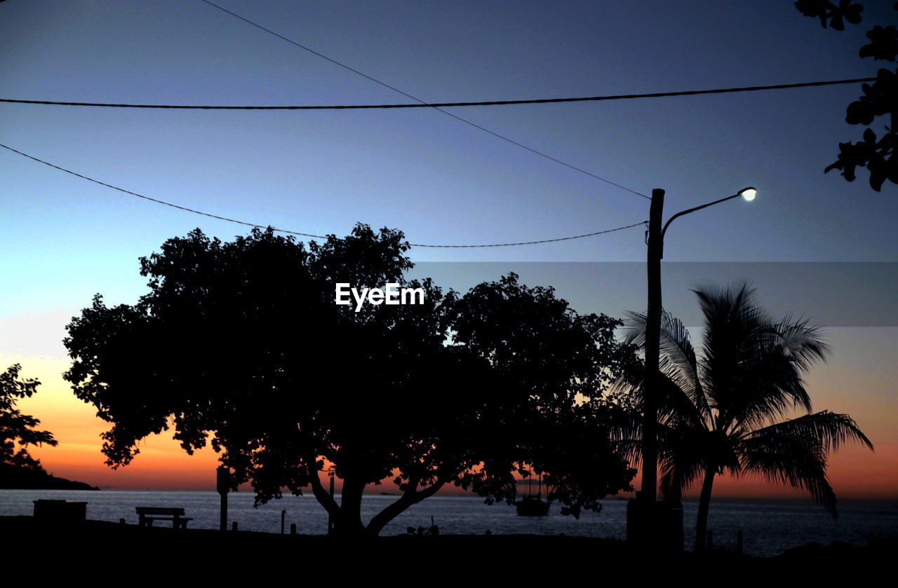 Silhouette palm trees at sunset