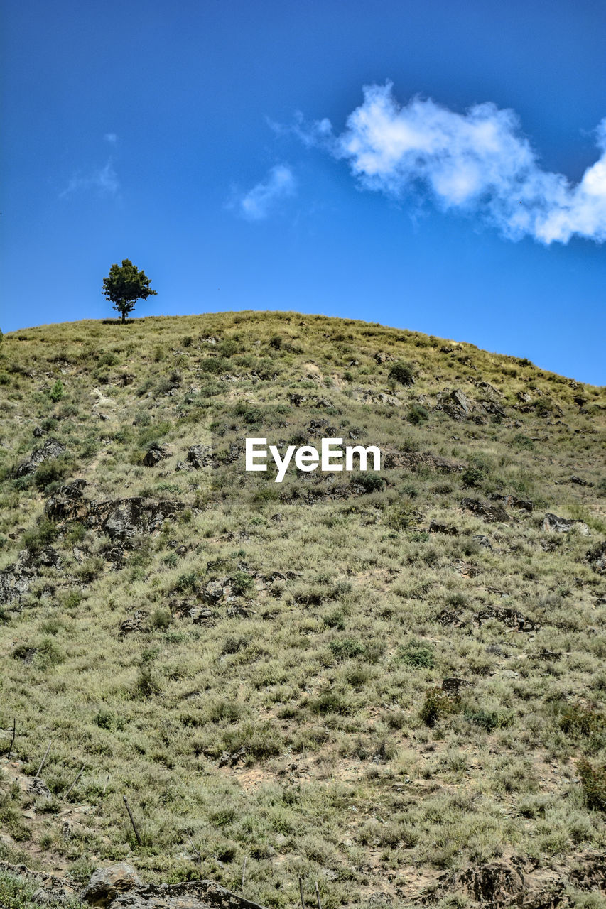 Scenic view of landscape against blue sky