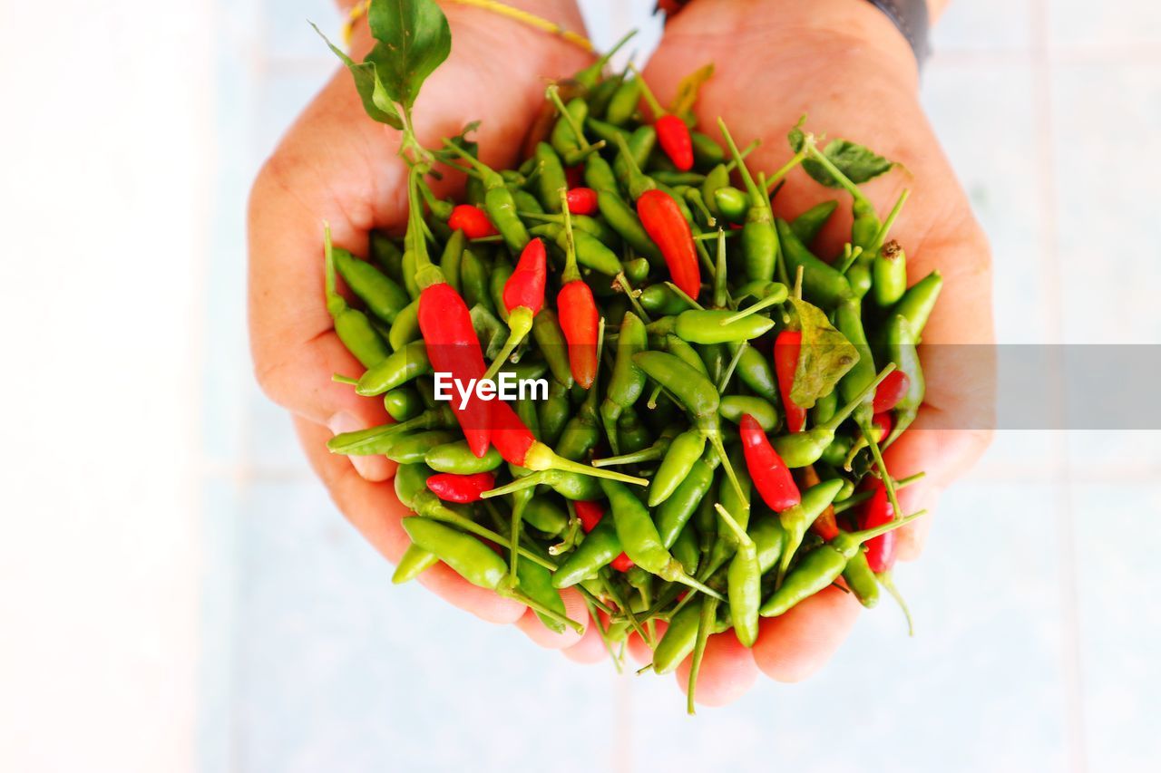 HIGH ANGLE VIEW OF PERSON HAND HOLDING VEGETABLES