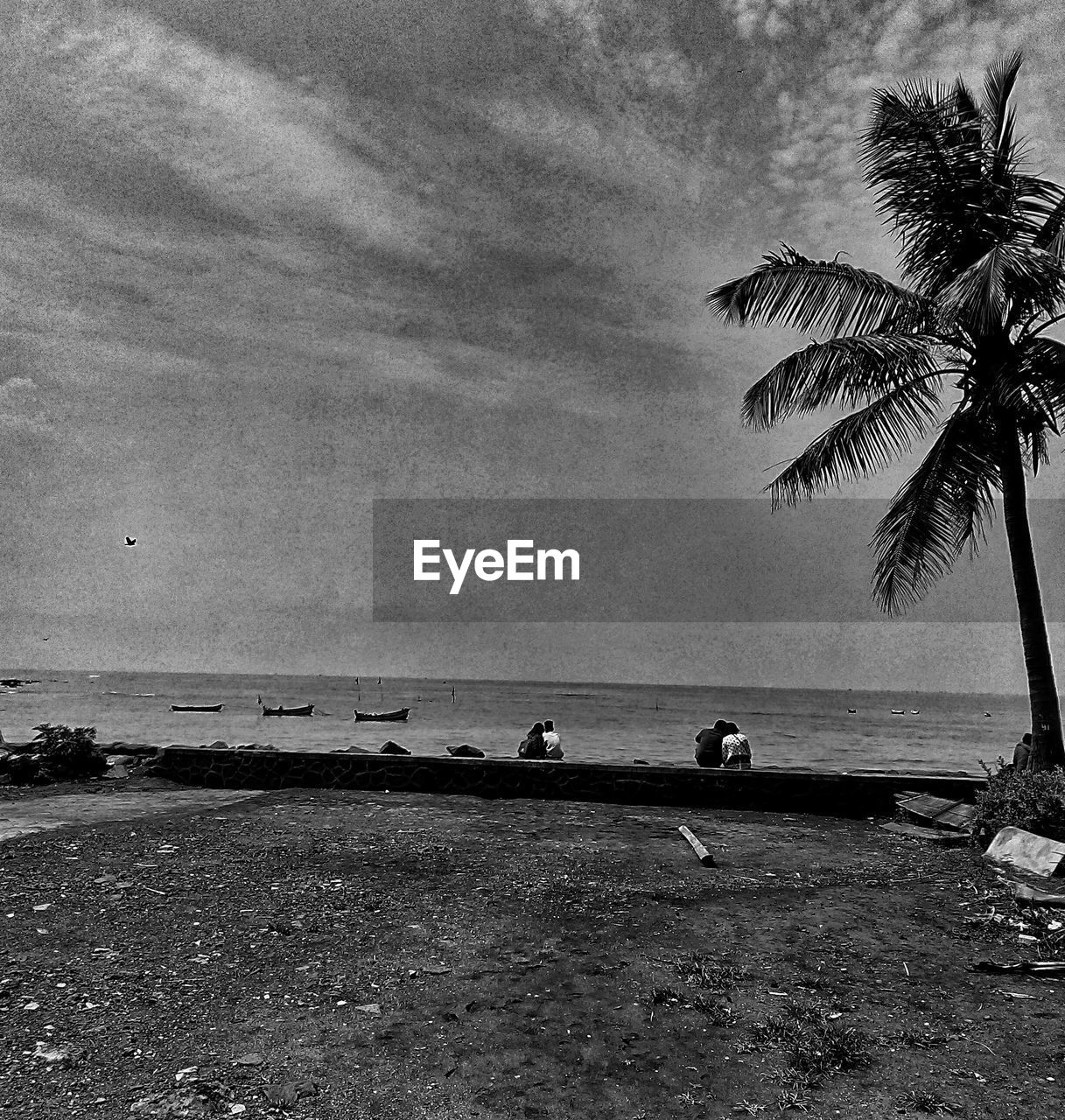 SCENIC VIEW OF BEACH