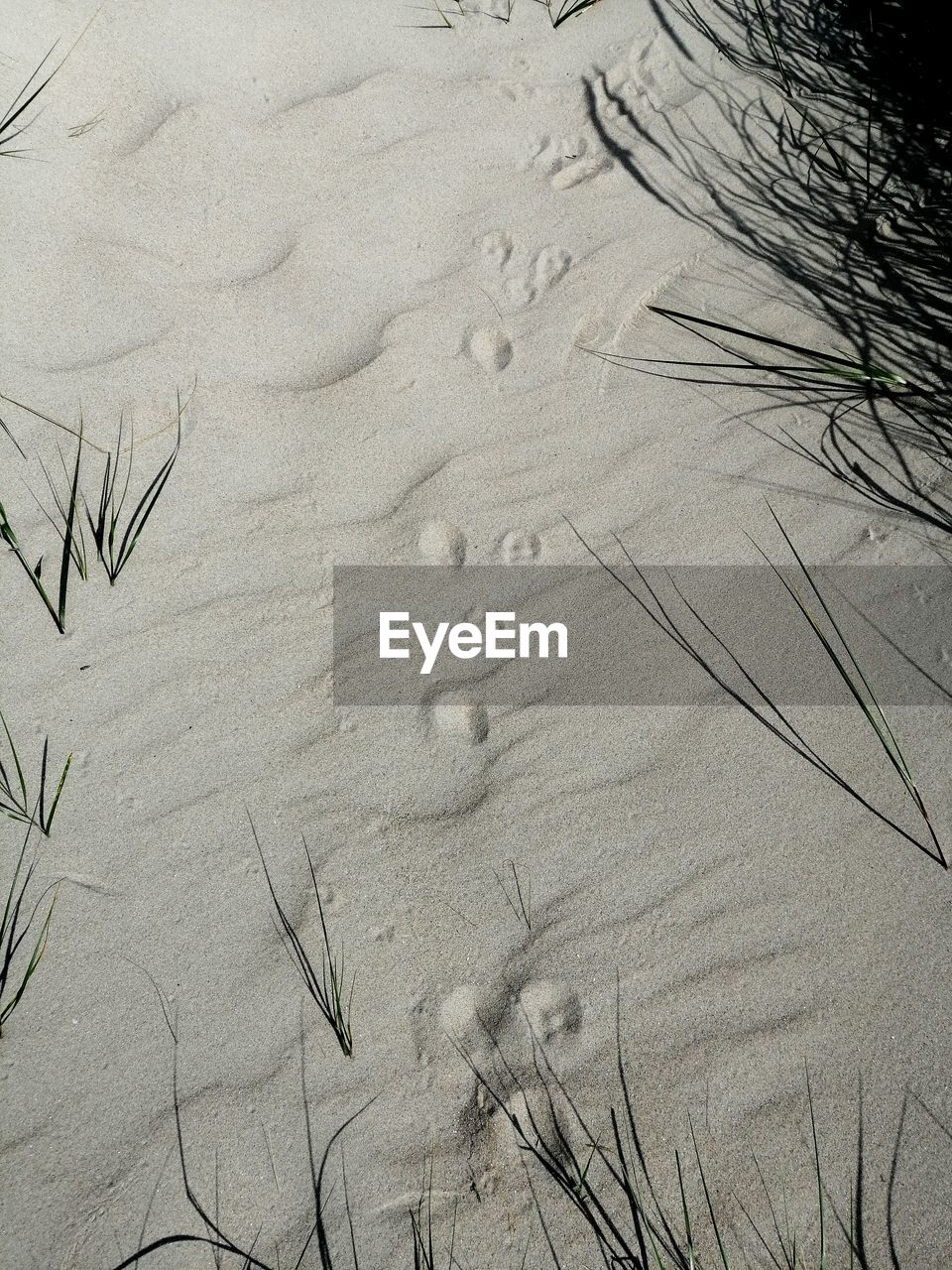 HIGH ANGLE VIEW OF FOOTPRINTS ON SANDY BEACH