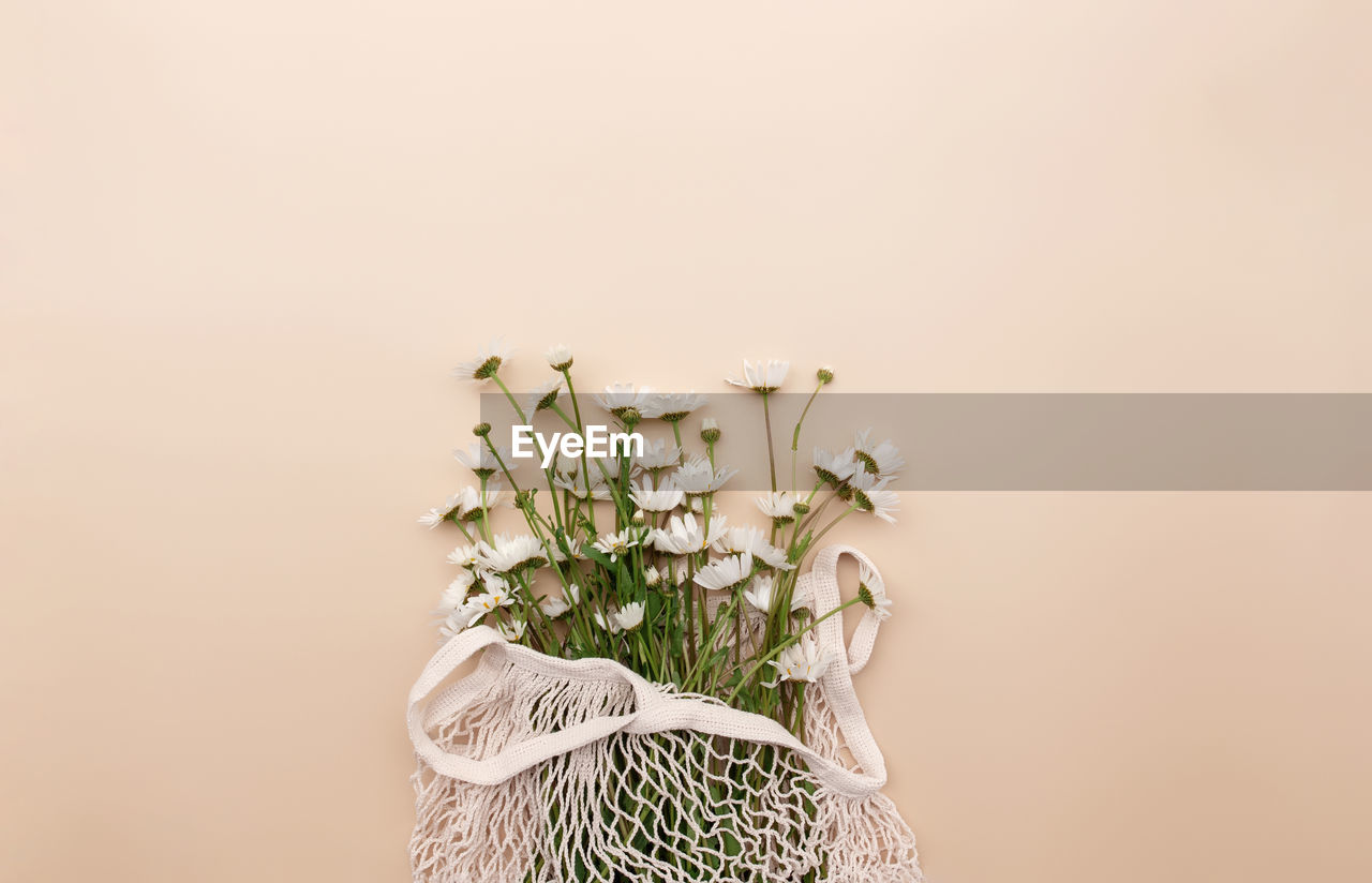 Eco friendly summer concept on beige background with eco shopping bag and white chamomile flowers