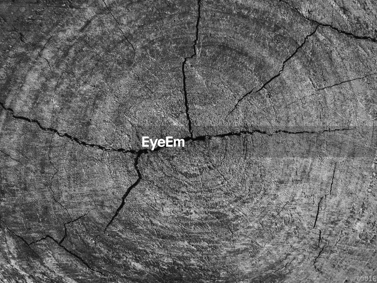 FULL FRAME SHOT OF CRACKED LEAF