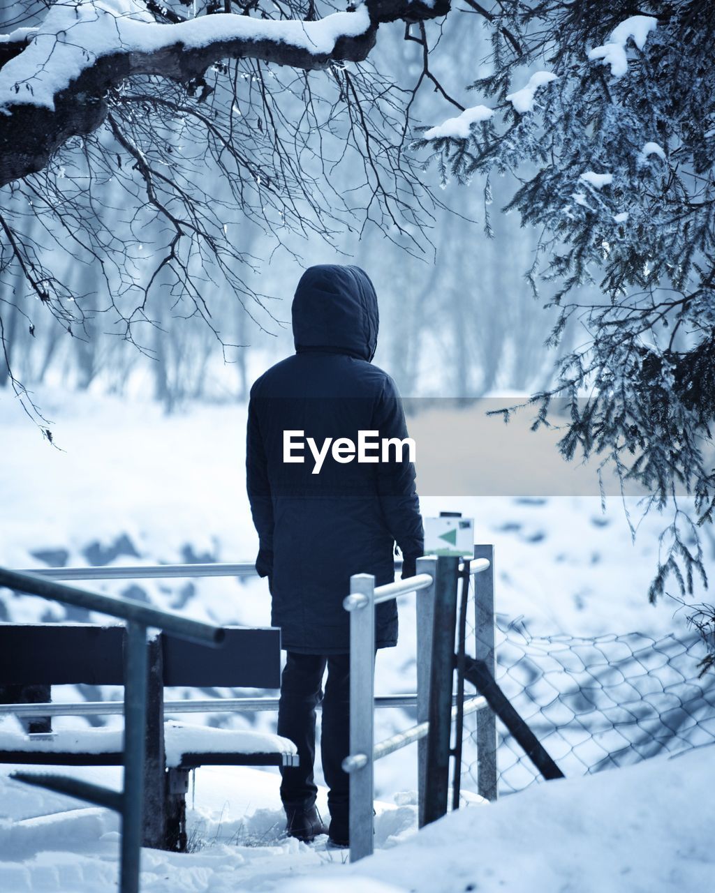 Rear view of person on snow covered landscape