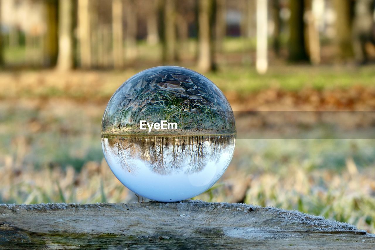 sphere, reflection, nature, water, tree, plant, land, crystal ball, green, focus on foreground, environment, no people, outdoors, grass, day, blue, shape, close-up, single object, leaf, autumn, geometric shape, forest, landscape, circle, globe - man made object, wood, shiny, planet earth, tranquility, beauty in nature