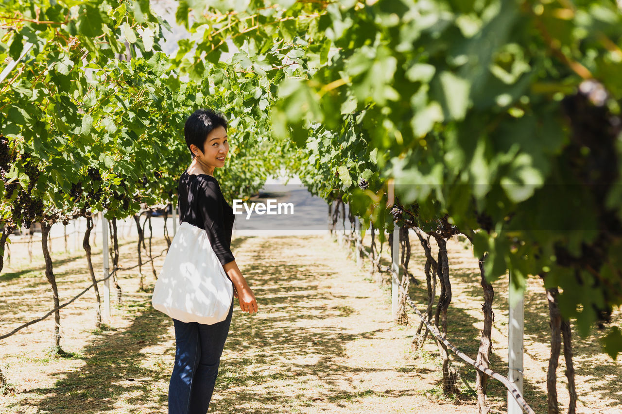 Asian woman traveling asian standing in beautiful vineyard.