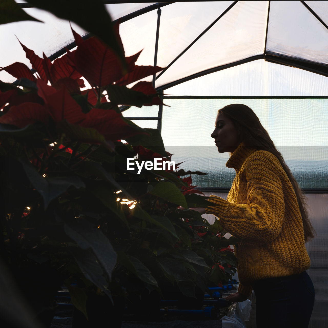 Side view of woman examining plants in greenhouse