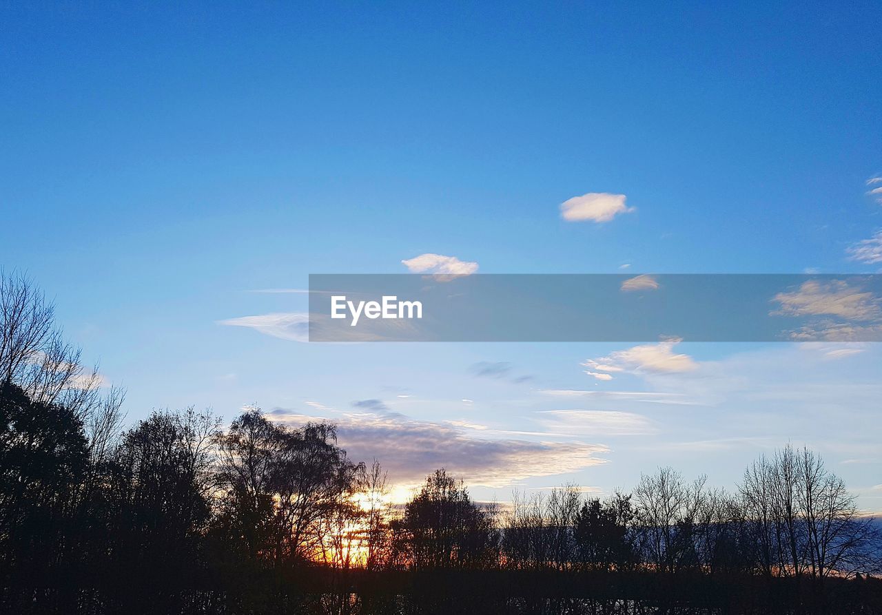 LOW ANGLE VIEW OF SILHOUETTE TREES AGAINST SKY