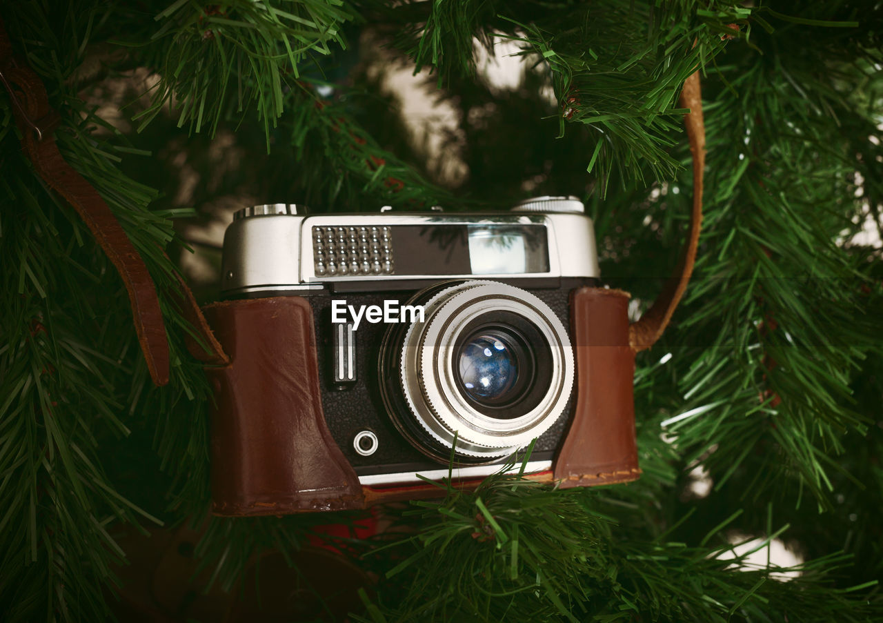 Vintage camera hanging on christmas tree