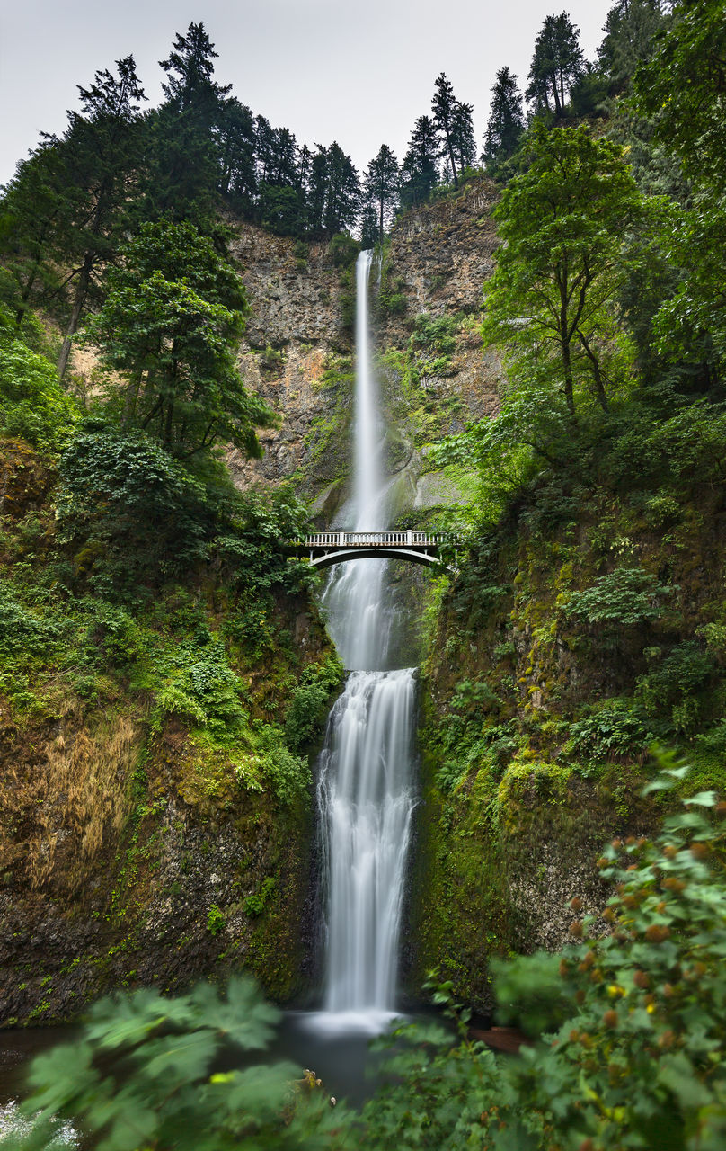 Scenic view of waterfall