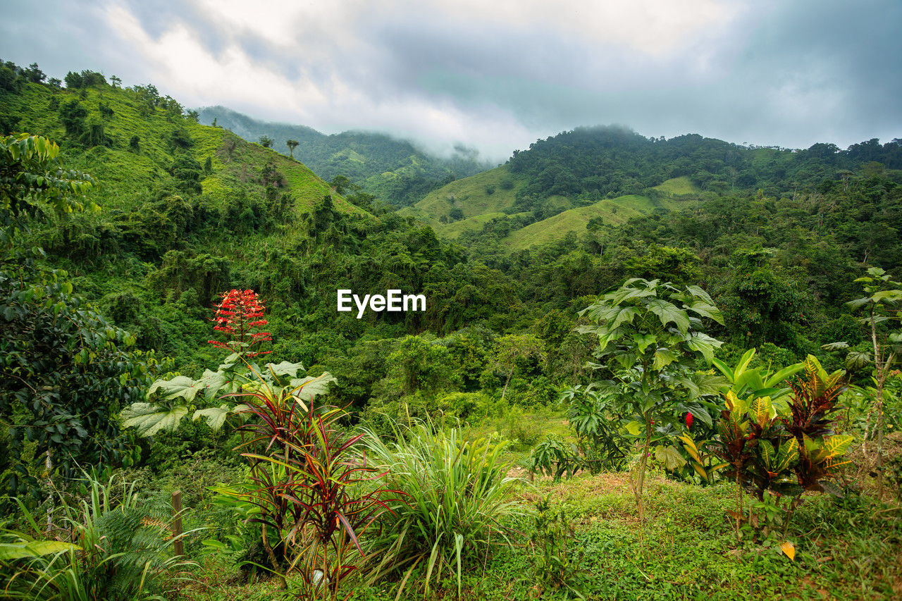 scenic view of mountains