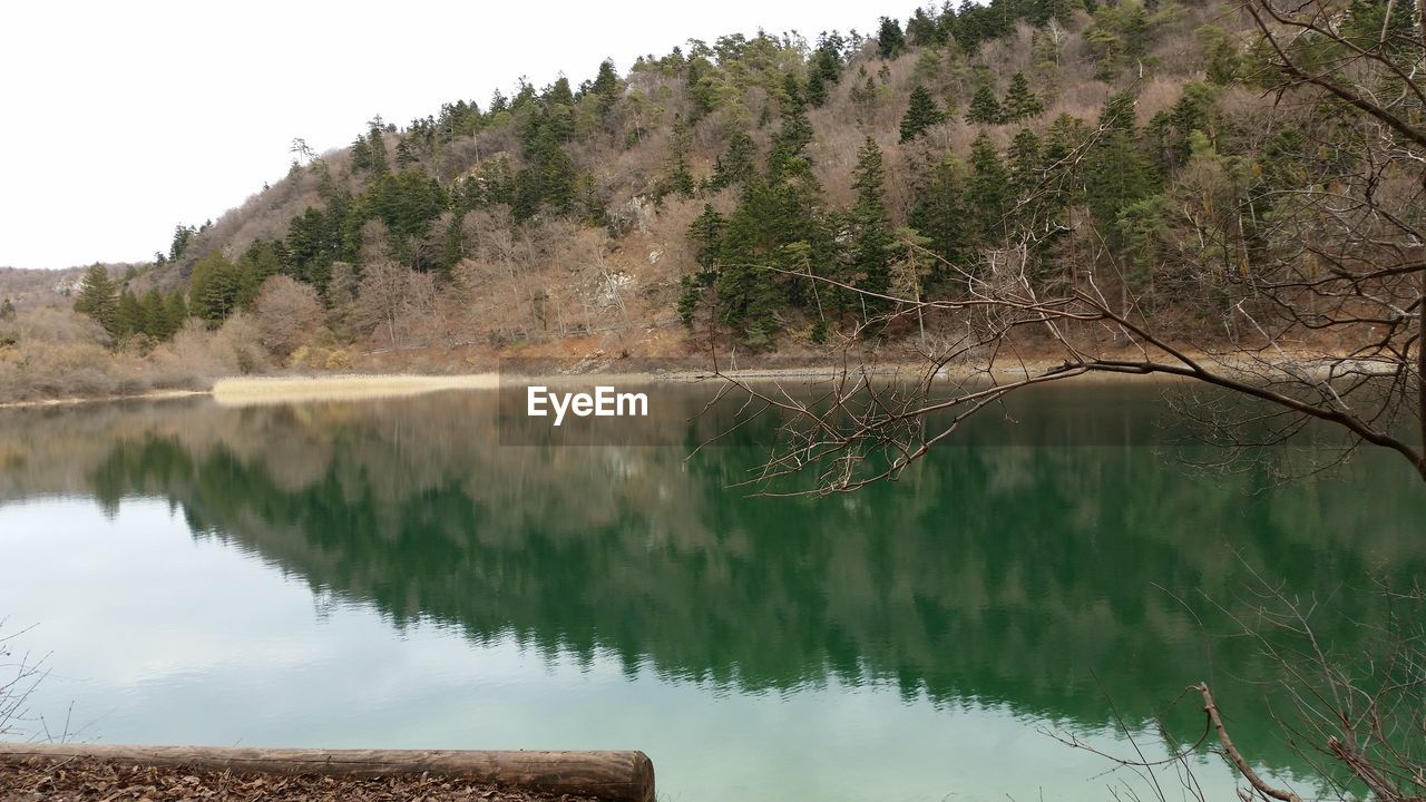 TREES REFLECTING IN LAKE