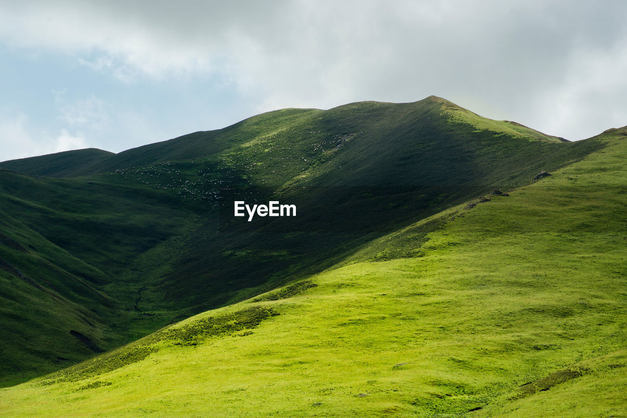 Scenic view of grassy mountains