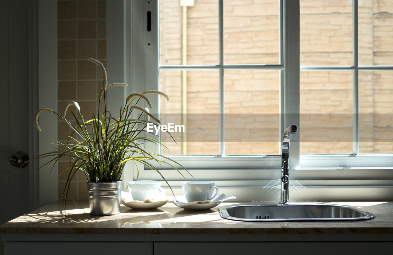 Potted plant and coffee cups on table by window at home