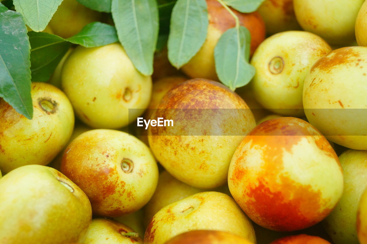 FULL FRAME SHOT OF FRUITS