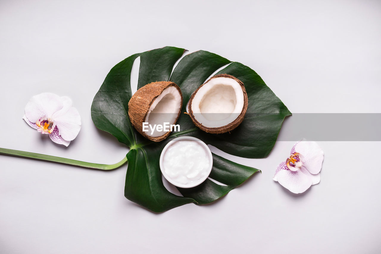 Coconut oil and tropical leaves. natural do it yourself cosmetics concept.