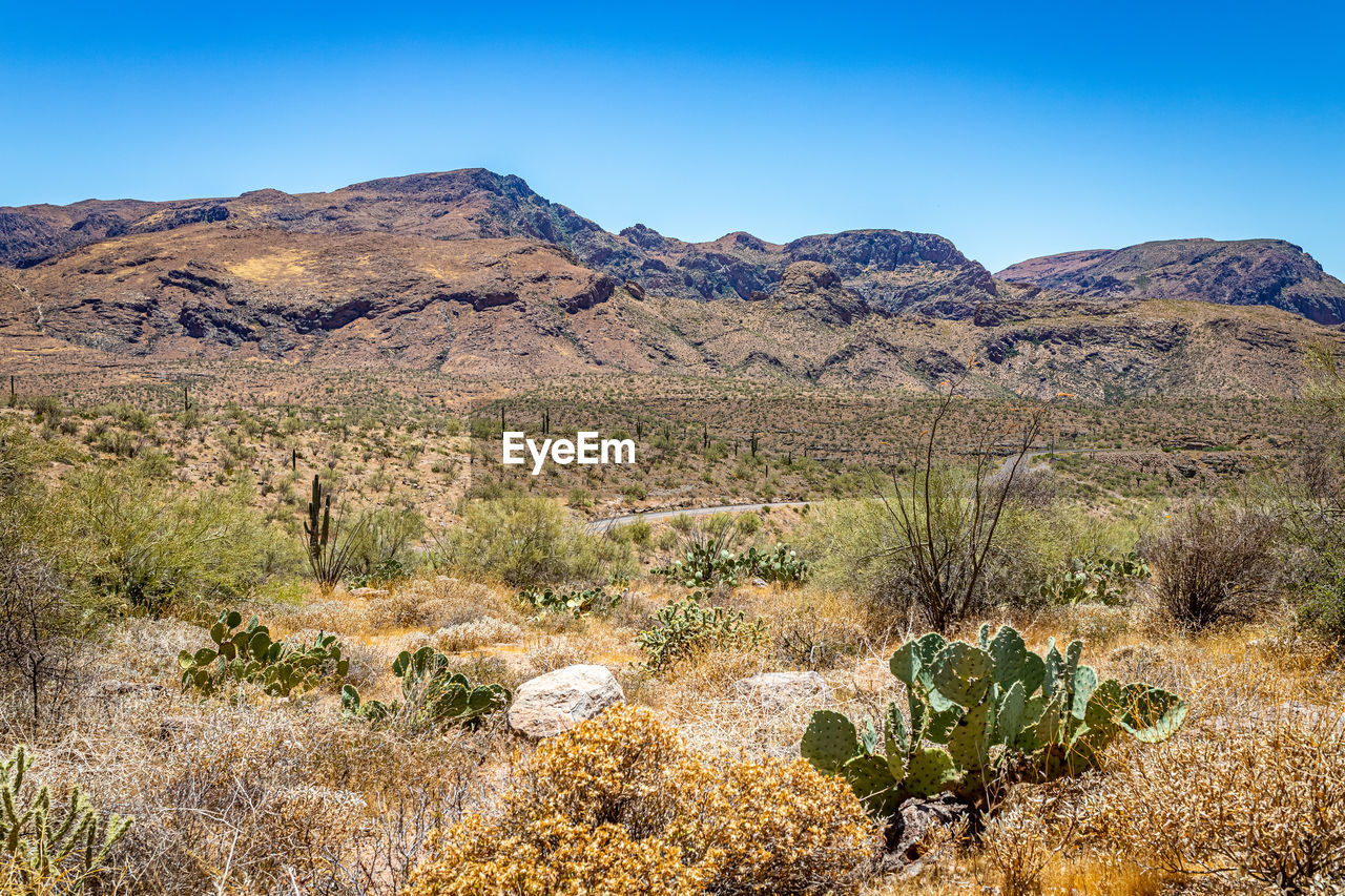 SCENIC VIEW OF ARID LANDSCAPE AGAINST SKY