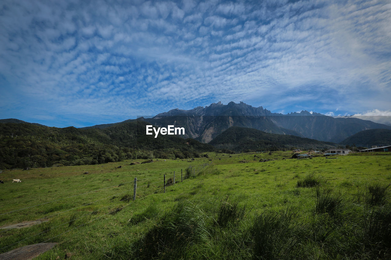 SCENIC VIEW OF GRASSY FIELD AGAINST SKY