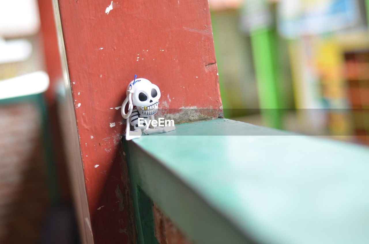 Close-up of ladybug on metal