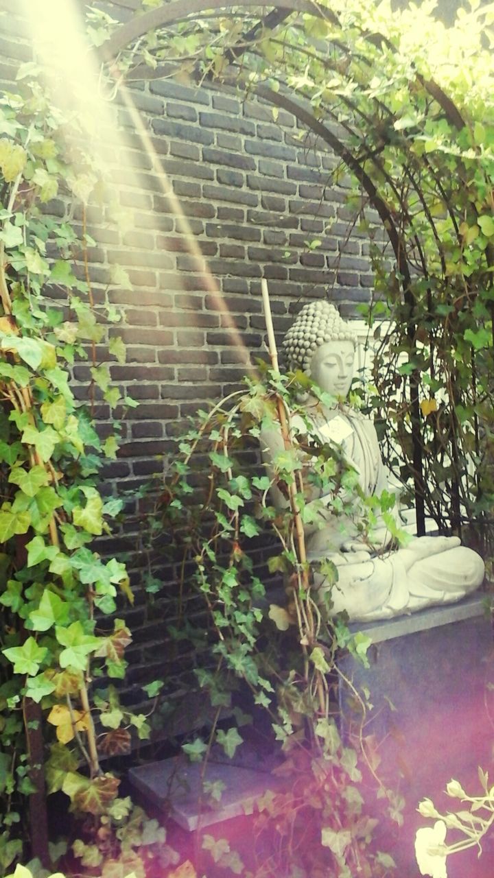 Buddha statue under green pergola