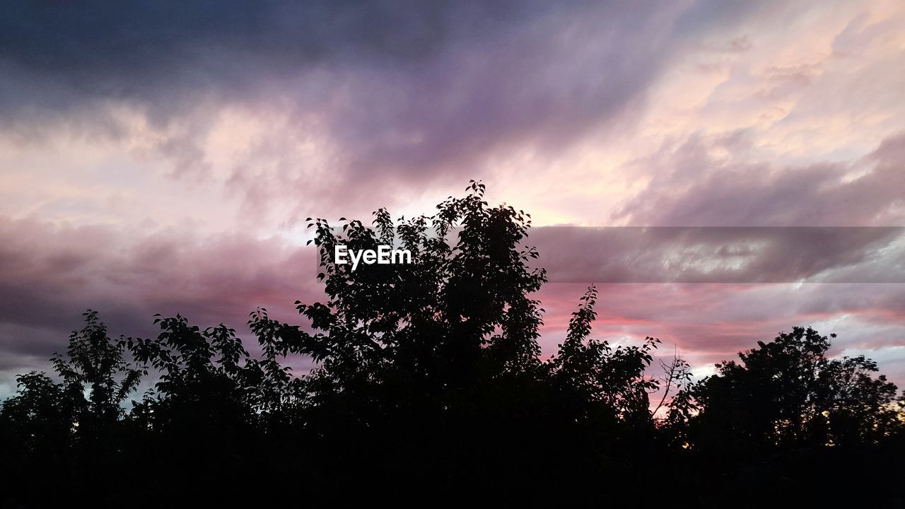 SILHOUETTE OF TREES AGAINST CLOUDY SKY