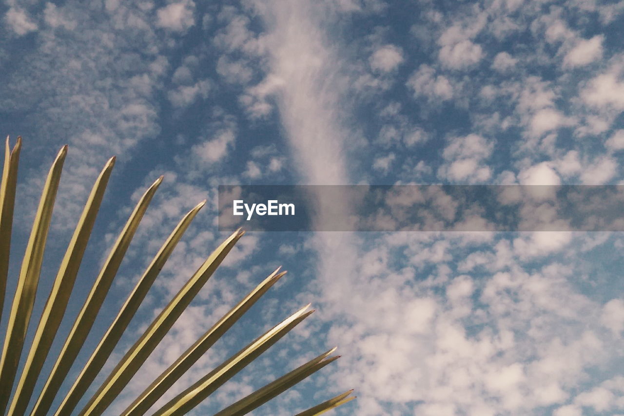 CLOSE-UP LOW ANGLE VIEW OF SKY AGAINST THE BACKGROUND