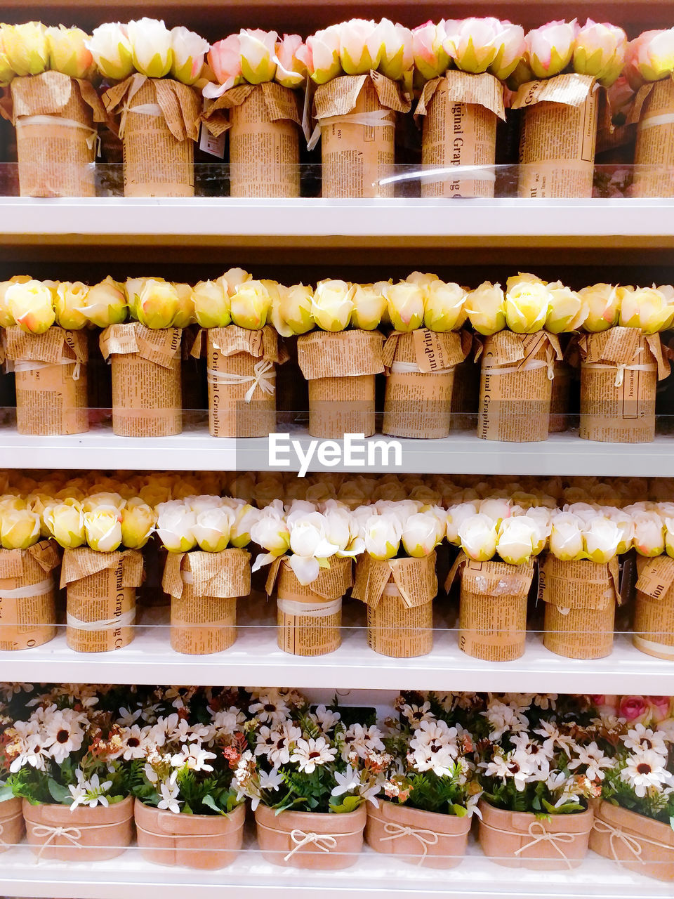 VEGETABLES FOR SALE IN STORE