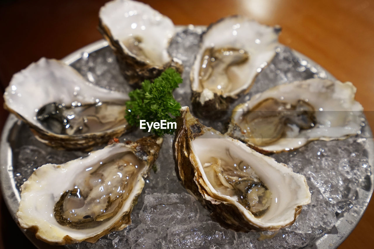 Close up fresh and raw oysters