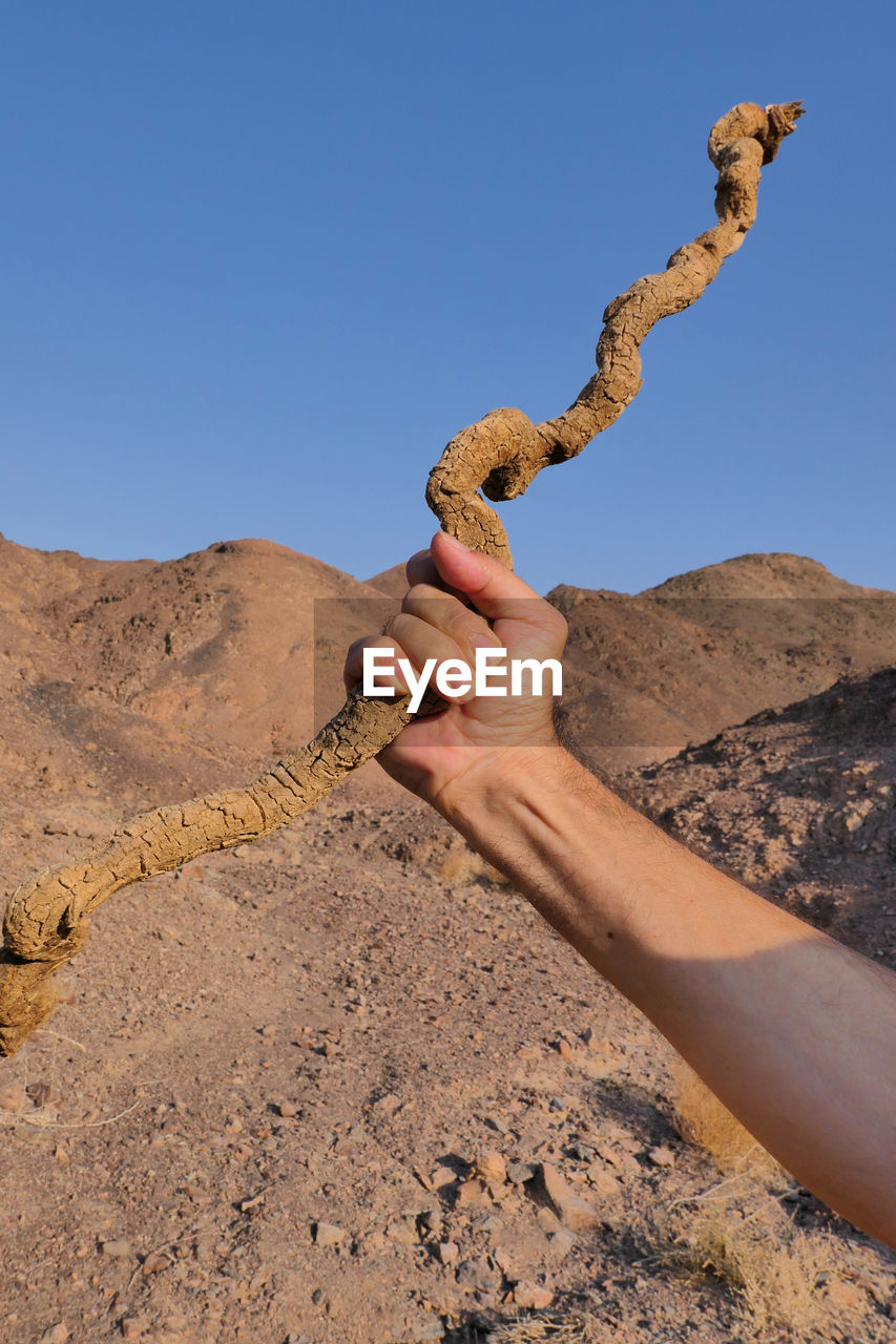 Human hand holding stick against clear sky