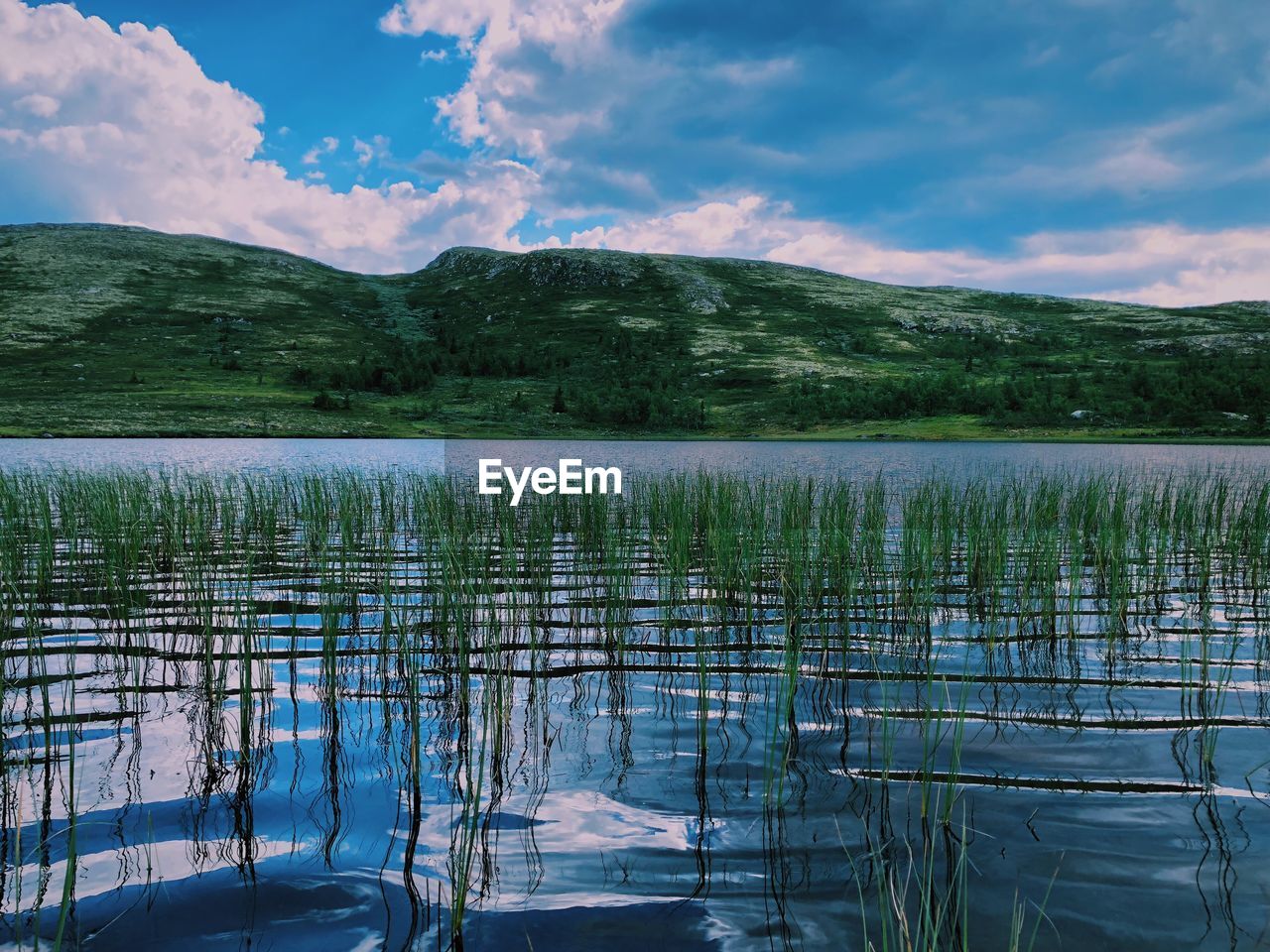 SCENIC VIEW OF LAKE