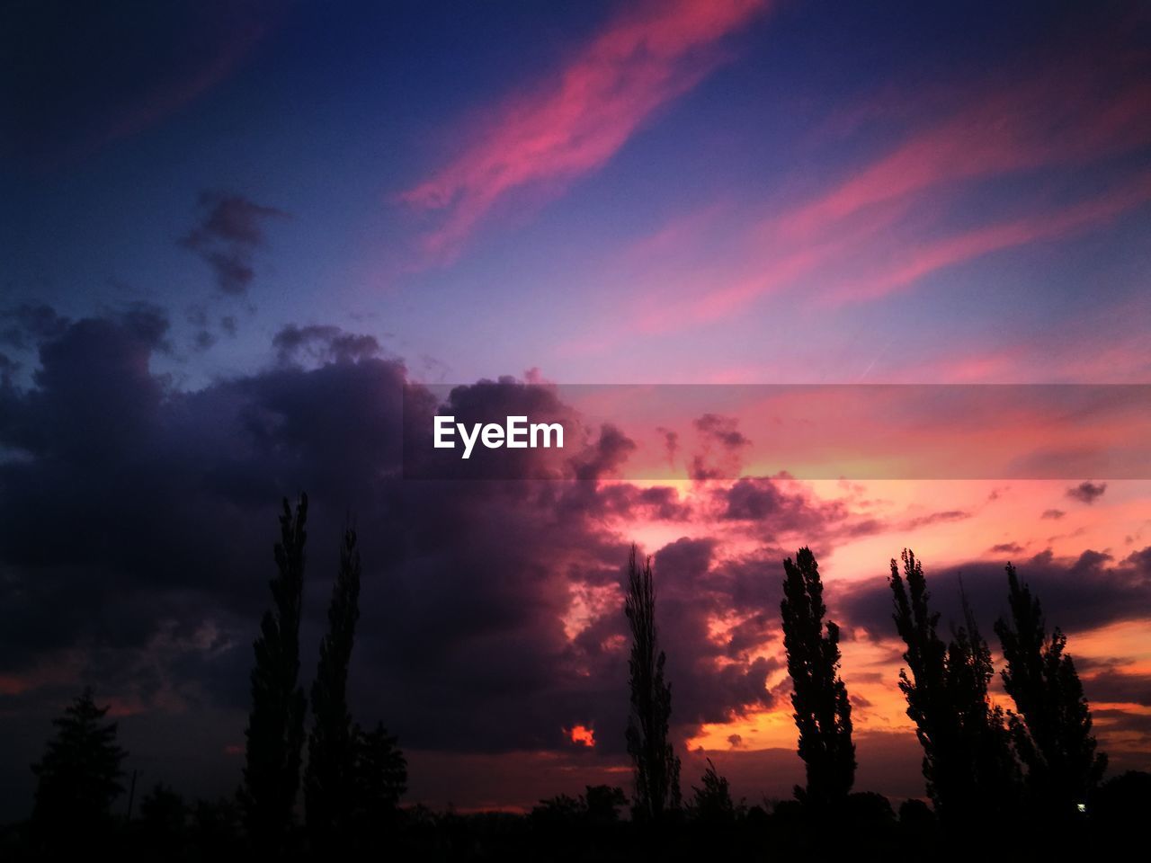 Low angle view of silhouette trees against dramatic sky