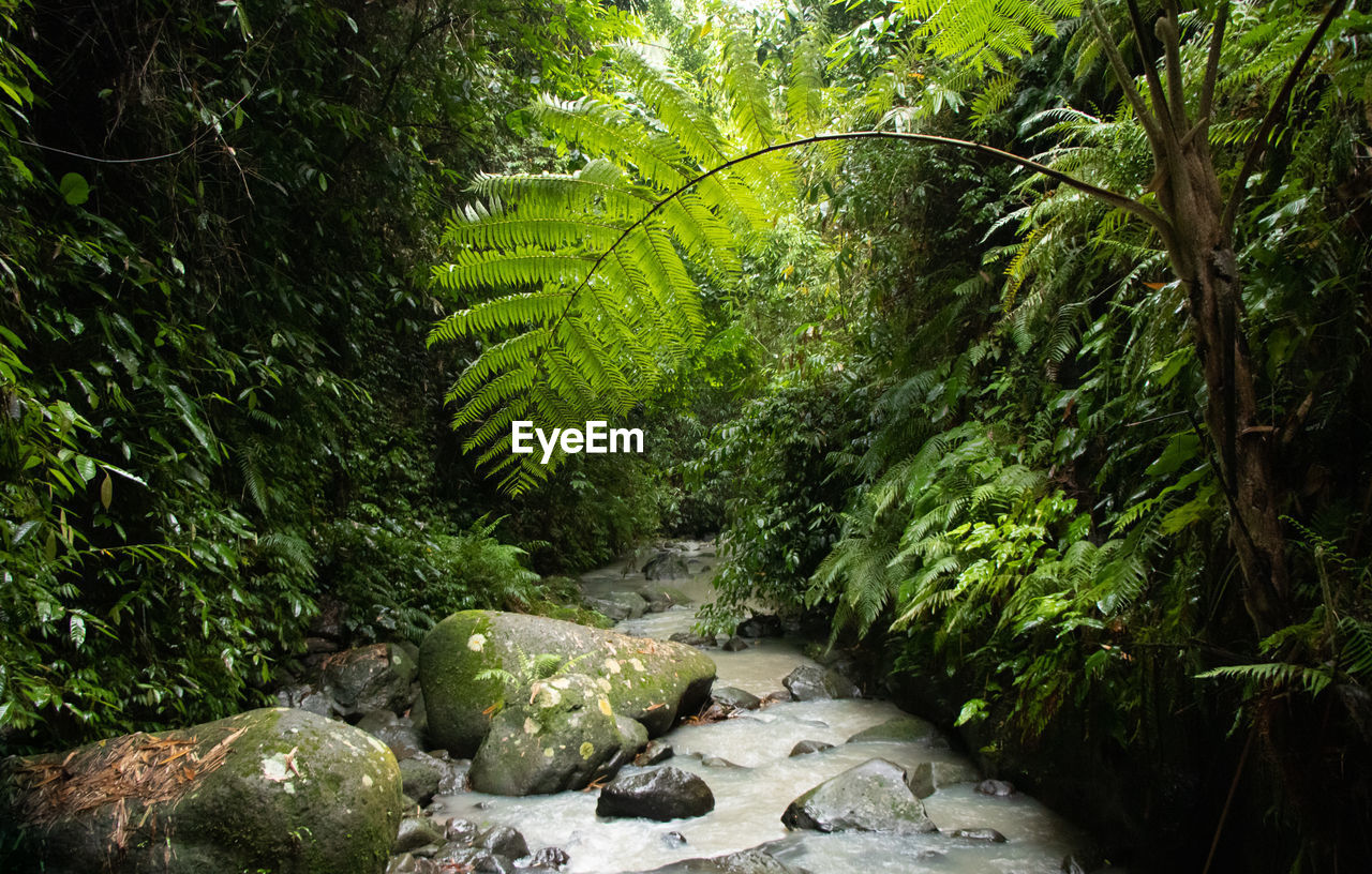 SCENIC VIEW OF WATERFALL